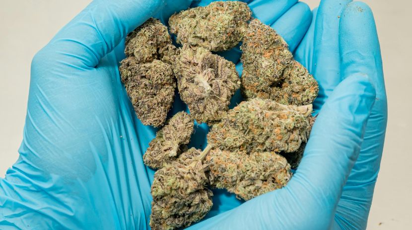 Mail order marijuana 