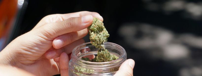 Mail order marijuana