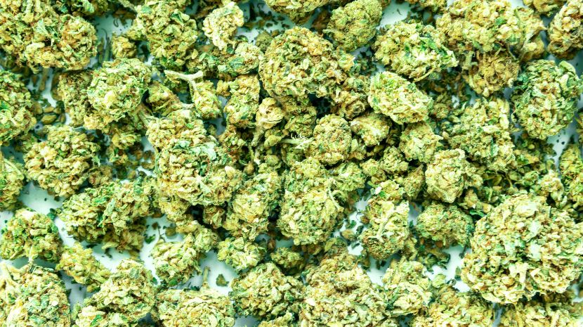 Mail order marijuana 